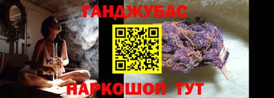 шишки Гай