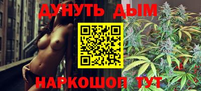 шишки Гай
