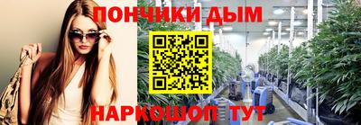 шишки Гай
