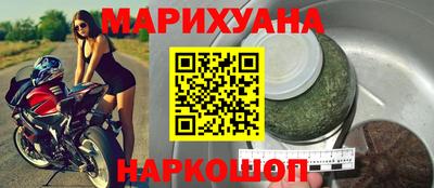 шишки Гай