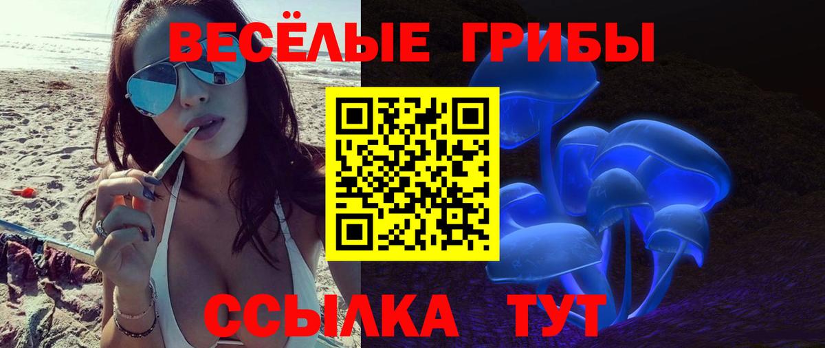 Псилоцибиновые грибы ЛСД Дивногорск