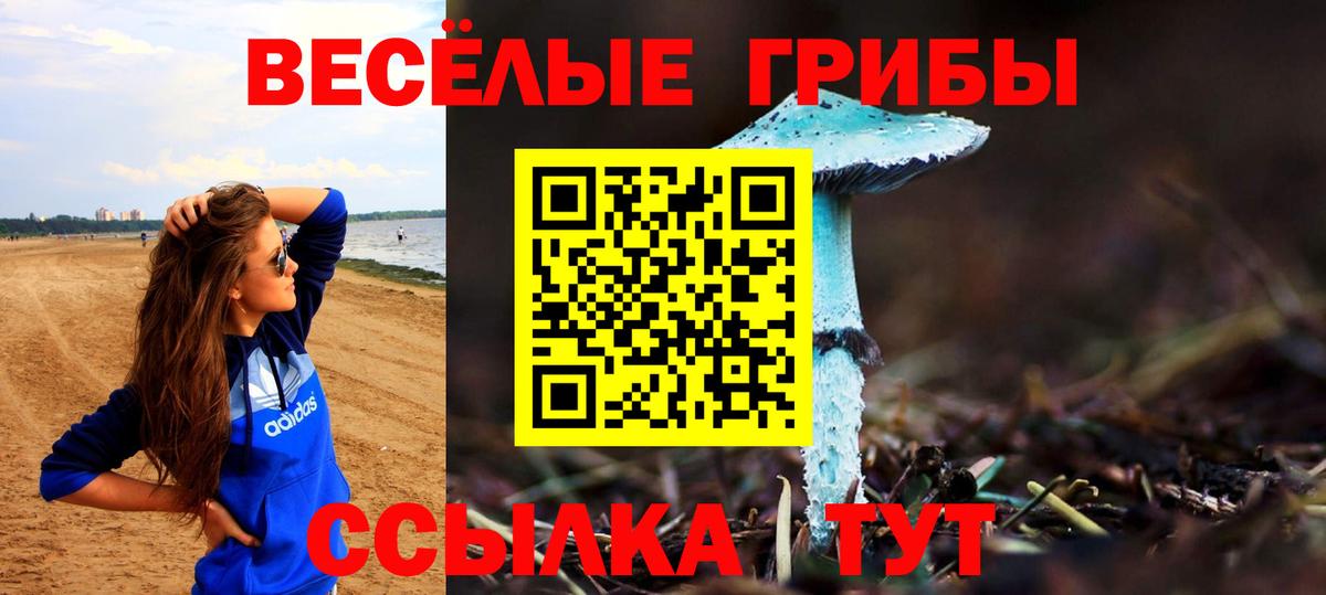 цена   Вход с VPN  Дивногорск  Галлюциногенные грибы мухоморы 