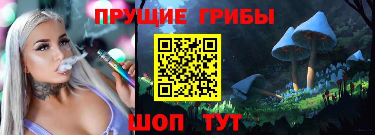 где купить наркоту  Псилоцибиновые грибы мицелий  Дивногорск  Псилоцибиновые грибы ЛСД 