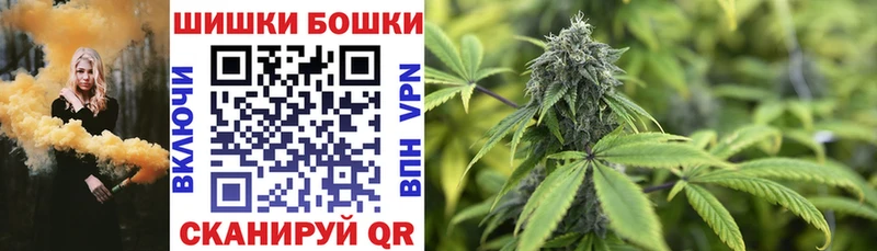 Шишки марихуана Amnesia наркошоп Дивногорск